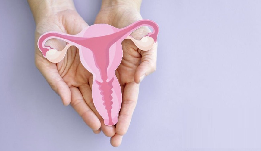 Evaluación clínica y económica de las estrategias de tamizaje para el cáncer del cuello uterino en México.